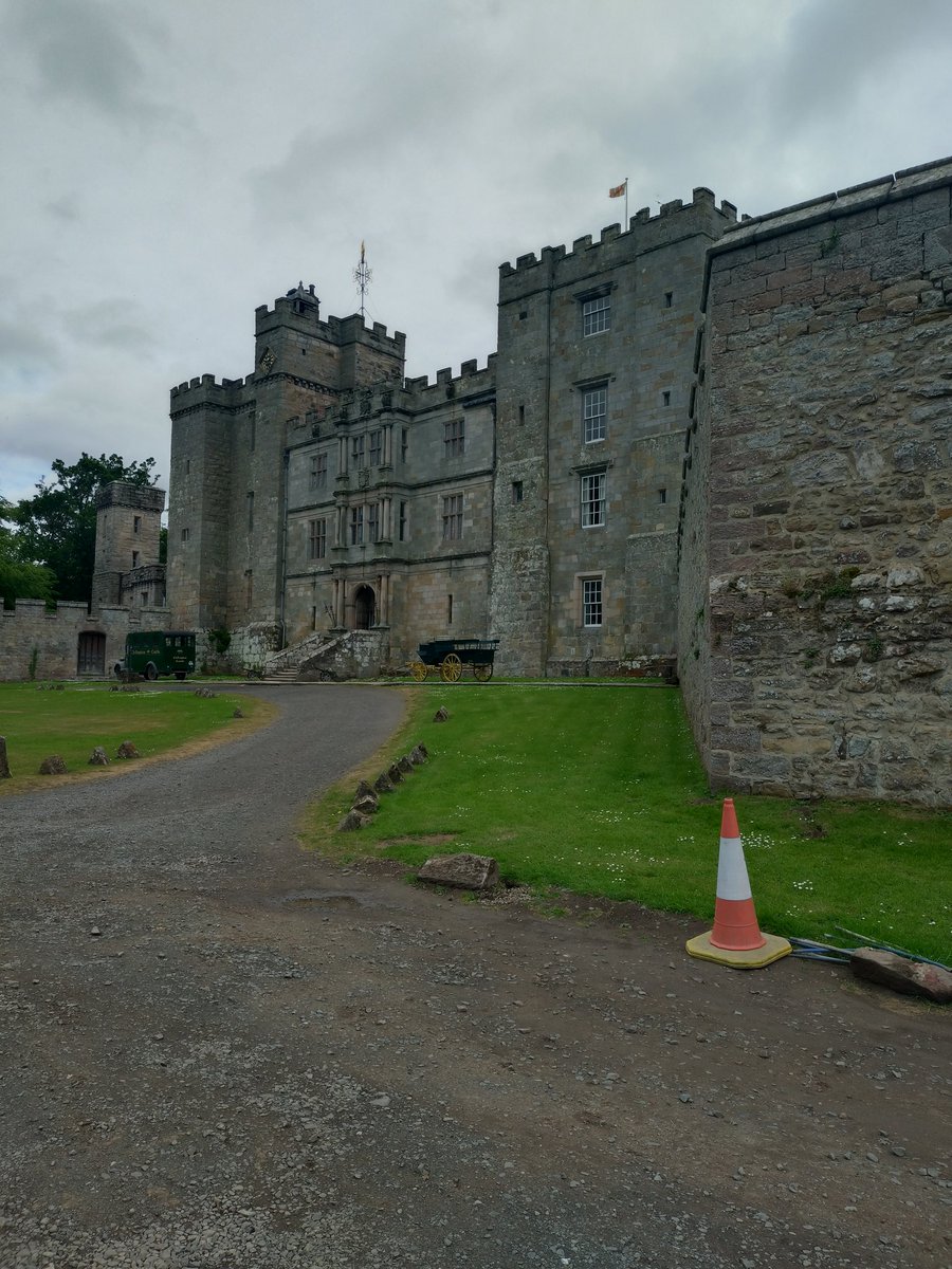 jjwolfeegirl91 Wolf tweet media