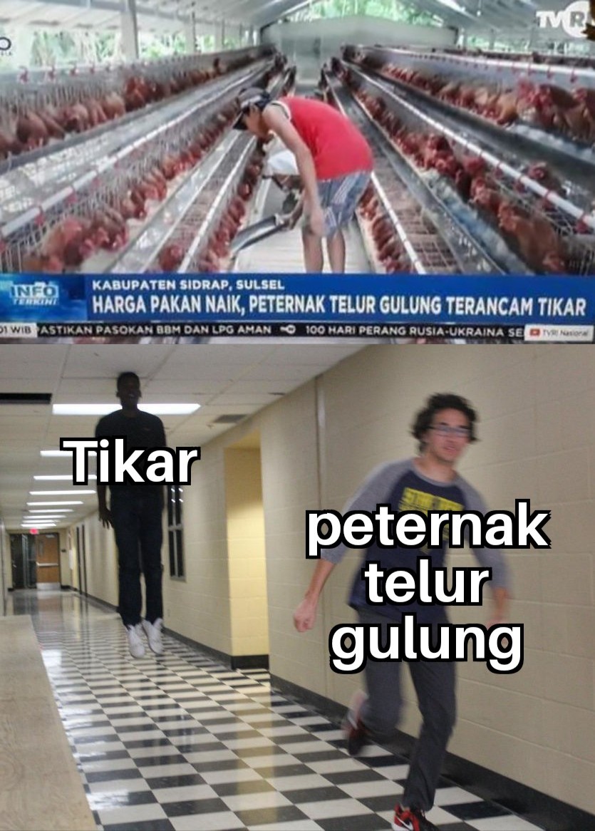 sakuraajpg's tweet photo. @tanyakanrl meme lama sih https://t.co/jAtWCATFUB