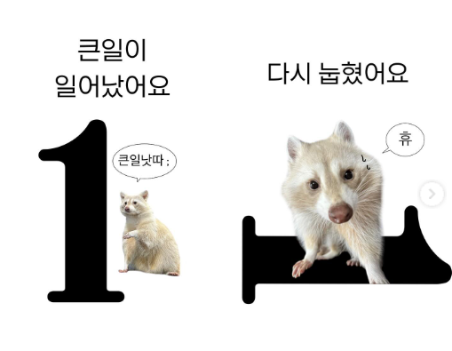 밈카이브 (@m1mchive) on Twitter photo 