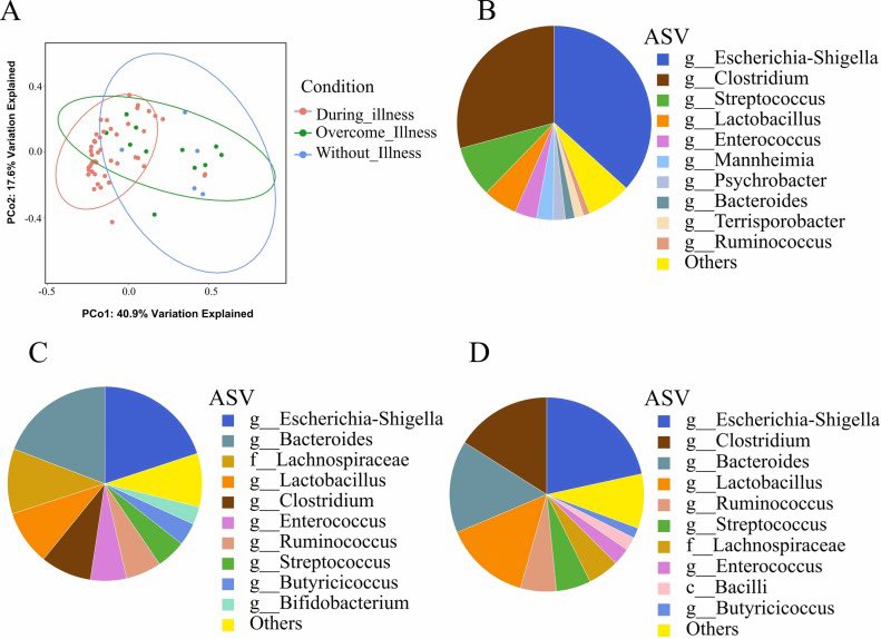 Felices de publicar nuestro estudio en la enfermedad de la boca mojada de corderos en Veterinary Microbiology. Title: Aetiology and environmental factors of the Watery Mouth Disease associated with neonatal diarrhoea in lambs
Reference: VETMIC_110542
sciencedirect.com/science/articl…