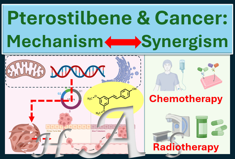 herbalanalysis's tweet photo. Update on our latest publication entitled “Pterostilbene as a Multifaceted Anticancer Agent: Molecular Mechanisms, Therapeutic Potential and Future Directions” Available from May 24, 2025 - Medical Oncology -
https://t.co/pTqJbaBAee https://t.co/G28fcRhGUn