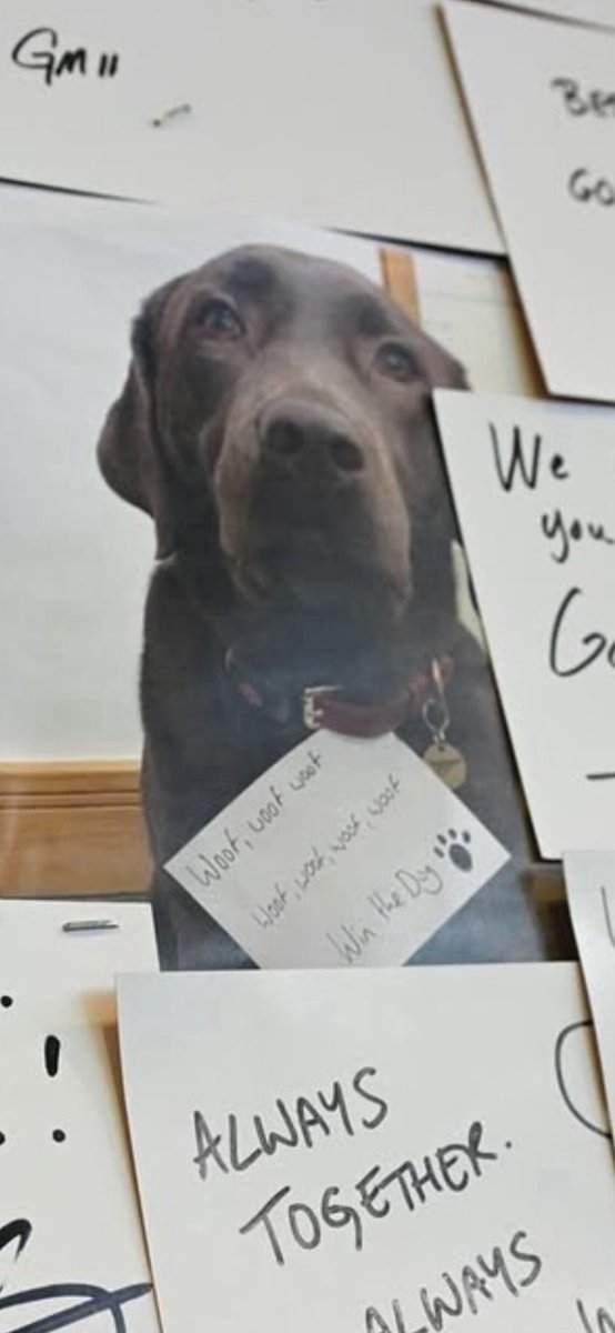 This was the motivation the players needed for yesterday 😍