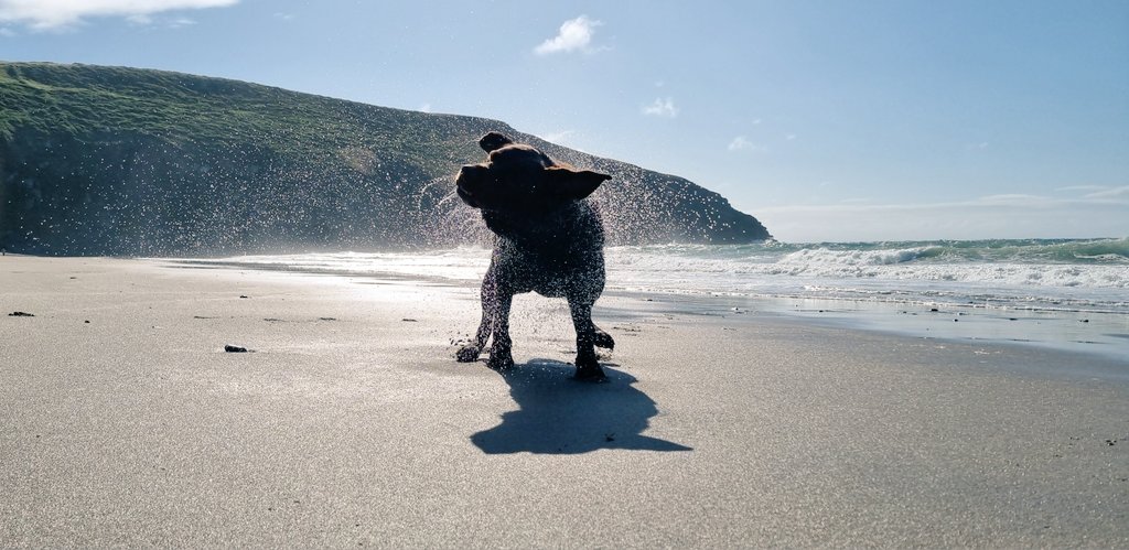 Tessa Delves tweet media