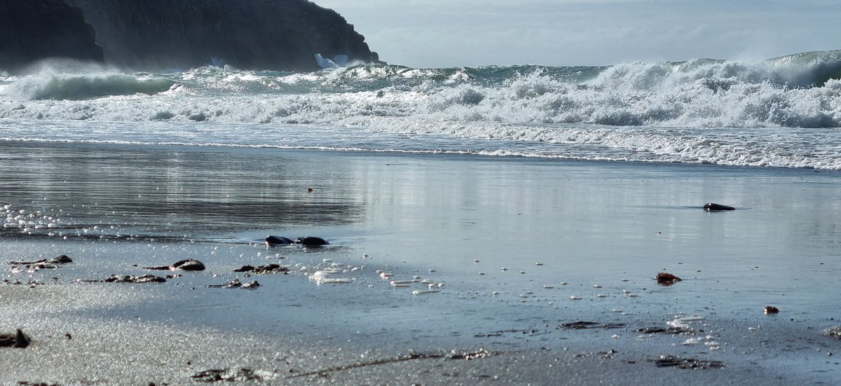 Tessa Delves tweet media