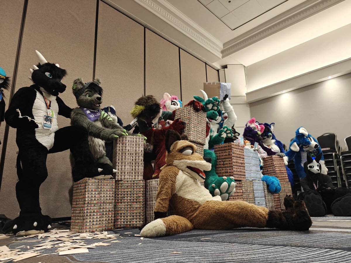 #CFz2025 Macro Micro meet was so good last night! Many pictures shot and been *viciously* attacked my paws 🐾