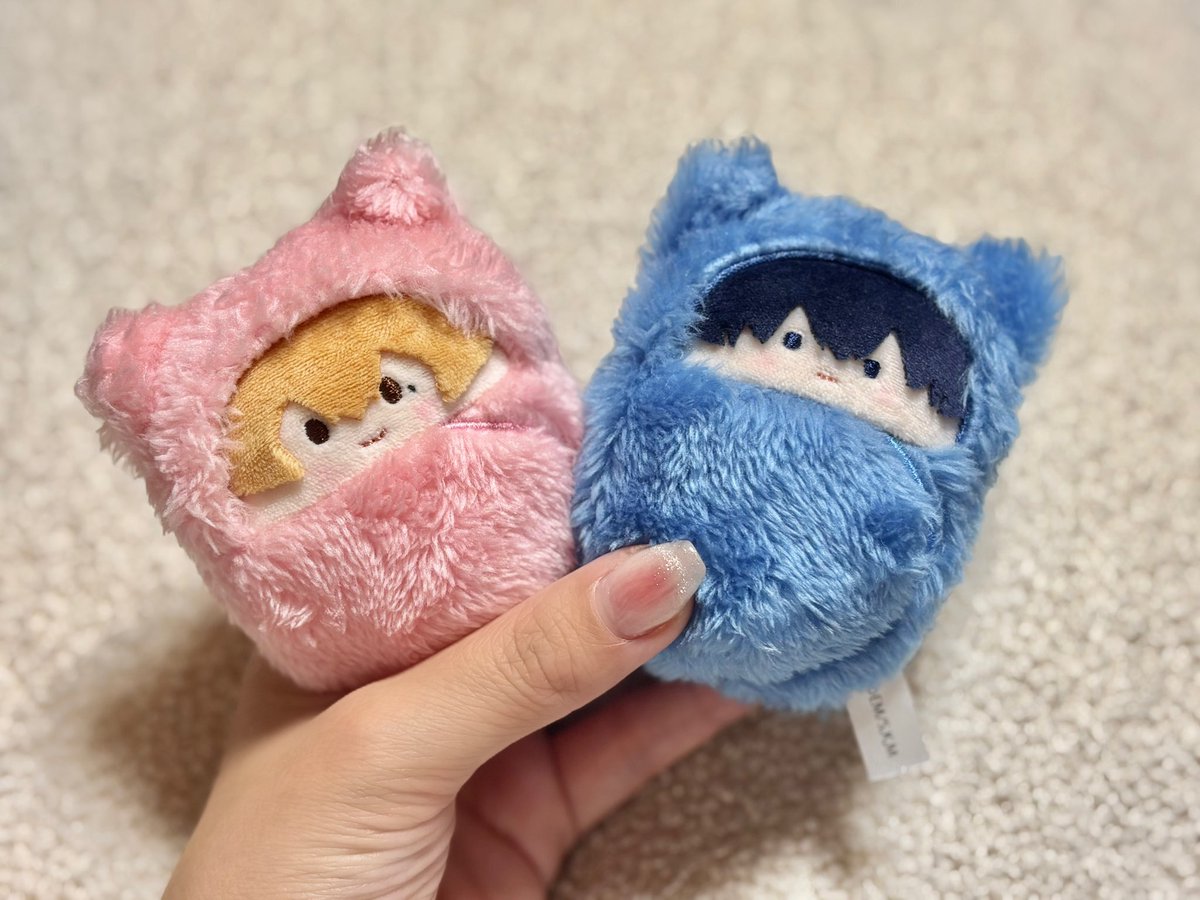 i_ql9's tweet photo. えったぴぬい可愛すぎない？？ https://t.co/afaOvtWMbD