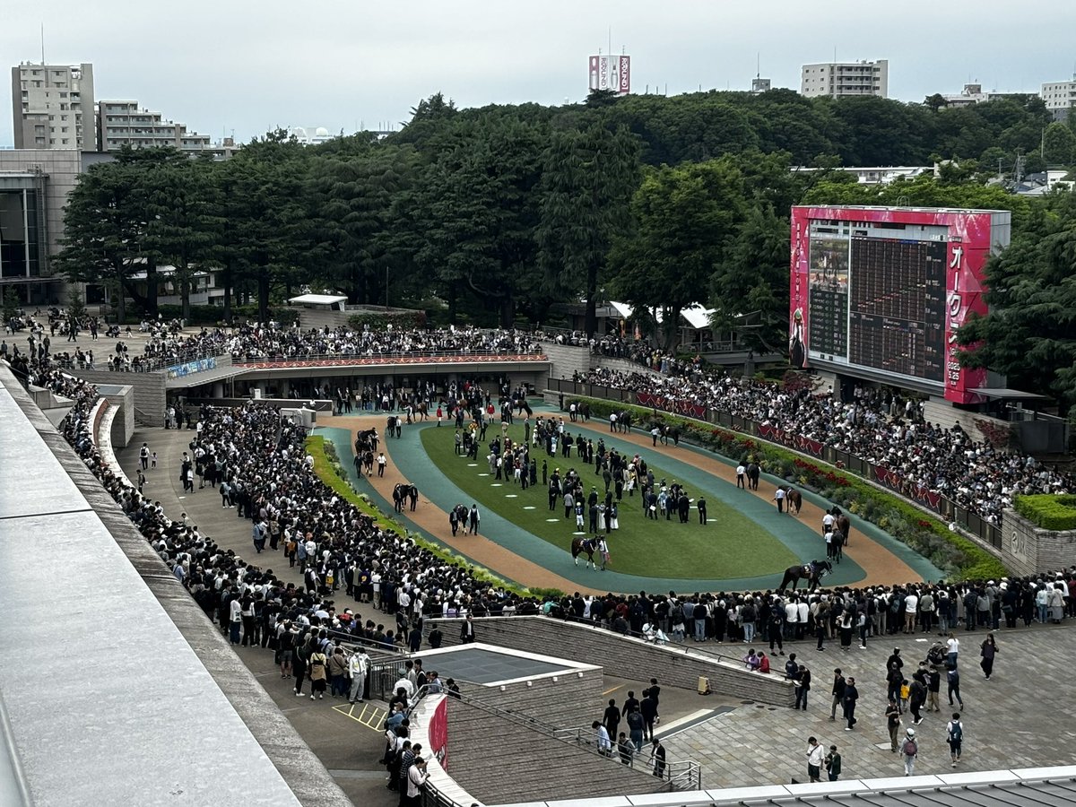 uma_0224's tweet photo. 競馬はクソでした https://t.co/CK5fxyGGLH