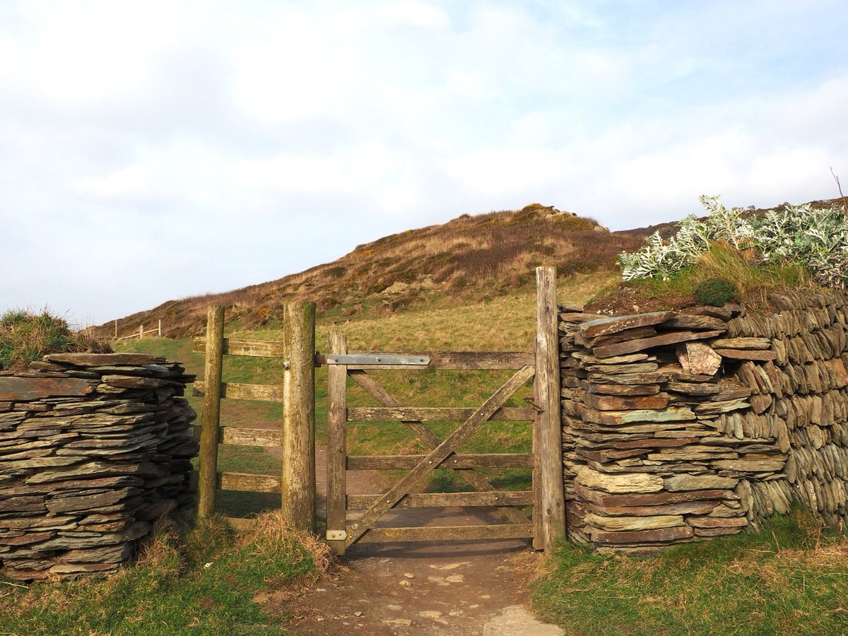 Discover dramatic cliffs, serene beaches, and vibrant wildlife along the South West Coast Path 🌊 

🦭 Spot seals basking on the rocks
🦅 Watch seabirds soar above the waves
🌿 Wander through ancient woodlands to hidden coves

Ready to explore 🔗  bit.ly/4jcNiti