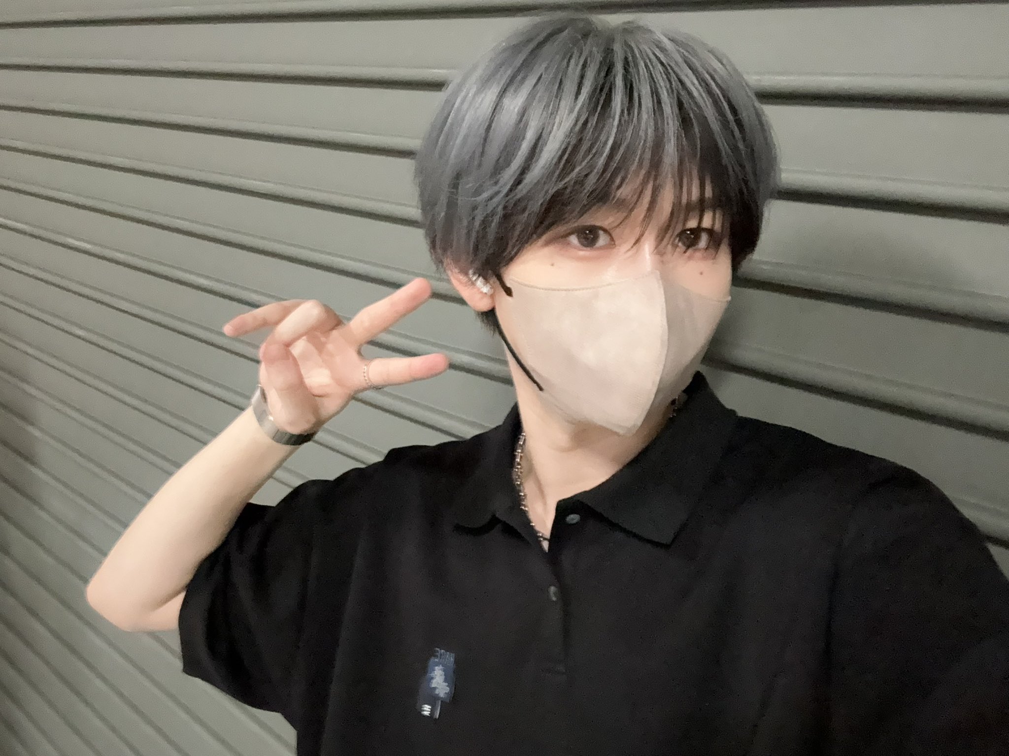 しろせんせー (@shirosense_) • Instagram photos and videos