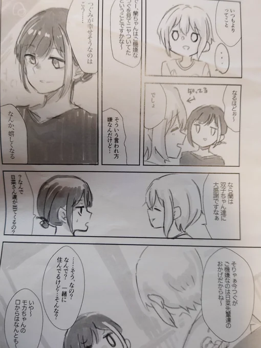 僕がいつ度のタイミングでこの蘭モのペーパー?冊子?を出したかご存知の方いらっしゃいますか?(ここだけ出てきた)(まじで描いた記憶がない) 