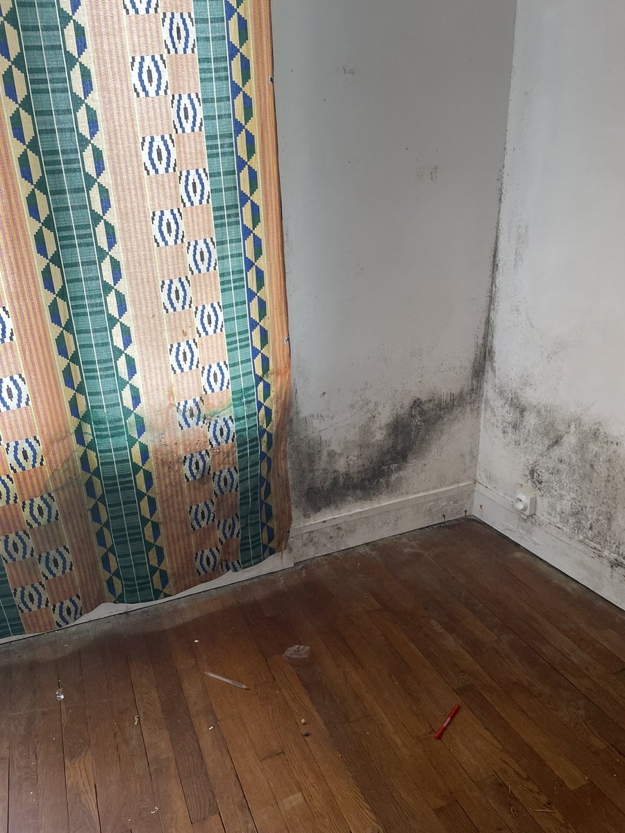 flying_renarde_'s tweet photo. @nathgr9 @M6pro @courbet_julien @M6 @jeremym6 @m6publicite @RTLFrance Certains appartements sont insalubres !!! https://t.co/AM3urZ8EHi