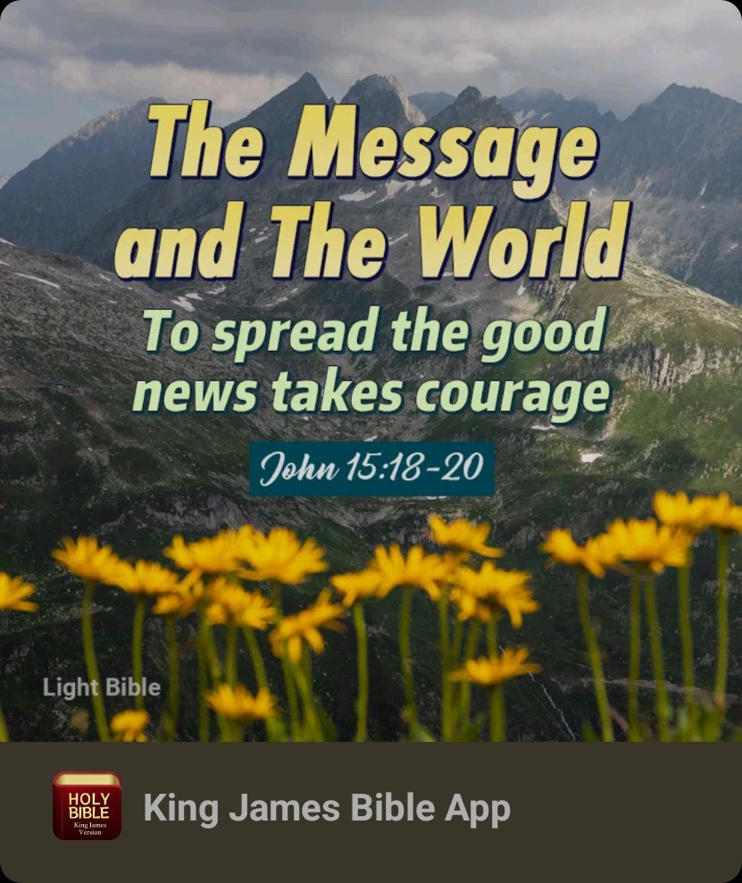 Brian Hall tweet media