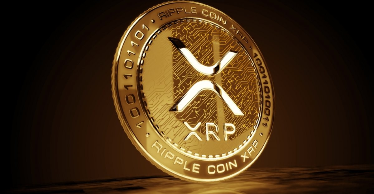 XrpFrog's tweet photo. Only retweet if want to see a $500 or more XRP🐸❎ https://t.co/HK8CkE9Or4