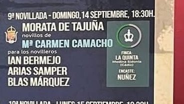 javiersalaman's tweet photo. Cuanto me alegro, ver el hierro de Braganza @silvimc en Un certamen como el de @RiberaTajuna aunque sea una sin. Ojalá sea el principio de la recuperación de una ganadería q como otras muchas ha caído injustamente en el olvido https://t.co/gt8gW5A9Xy