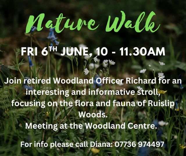Ruislip Woods Trust (@ruislipwoods) on Twitter photo What a treat! Join Richard Hutton retired <a href="/Hillingdon/">Hillingdon Council</a> woodland officer at 10am on Friday 6th June for a nature walk in #Ruislip woods. Highly recommended: Richardâs experience makes him a fascinating guide
#RuislipLido #GetOutside #FreshAir #GoodCompany #exercise <a href="/Hill_libraries/">Hillingdon Libraries</a> What a treat! Join Richard Hutton retired <a href="/Hillingdon/">Hillingdon Council</a> woodland officer at 10am on Friday 6th June for a nature walk in #Ruislip woods. Highly recommended: Richardâs experience makes him a fascinating guide
#RuislipLido #GetOutside #FreshAir #GoodCompany #exercise <a href="/Hill_libraries/">Hillingdon Libraries</a>