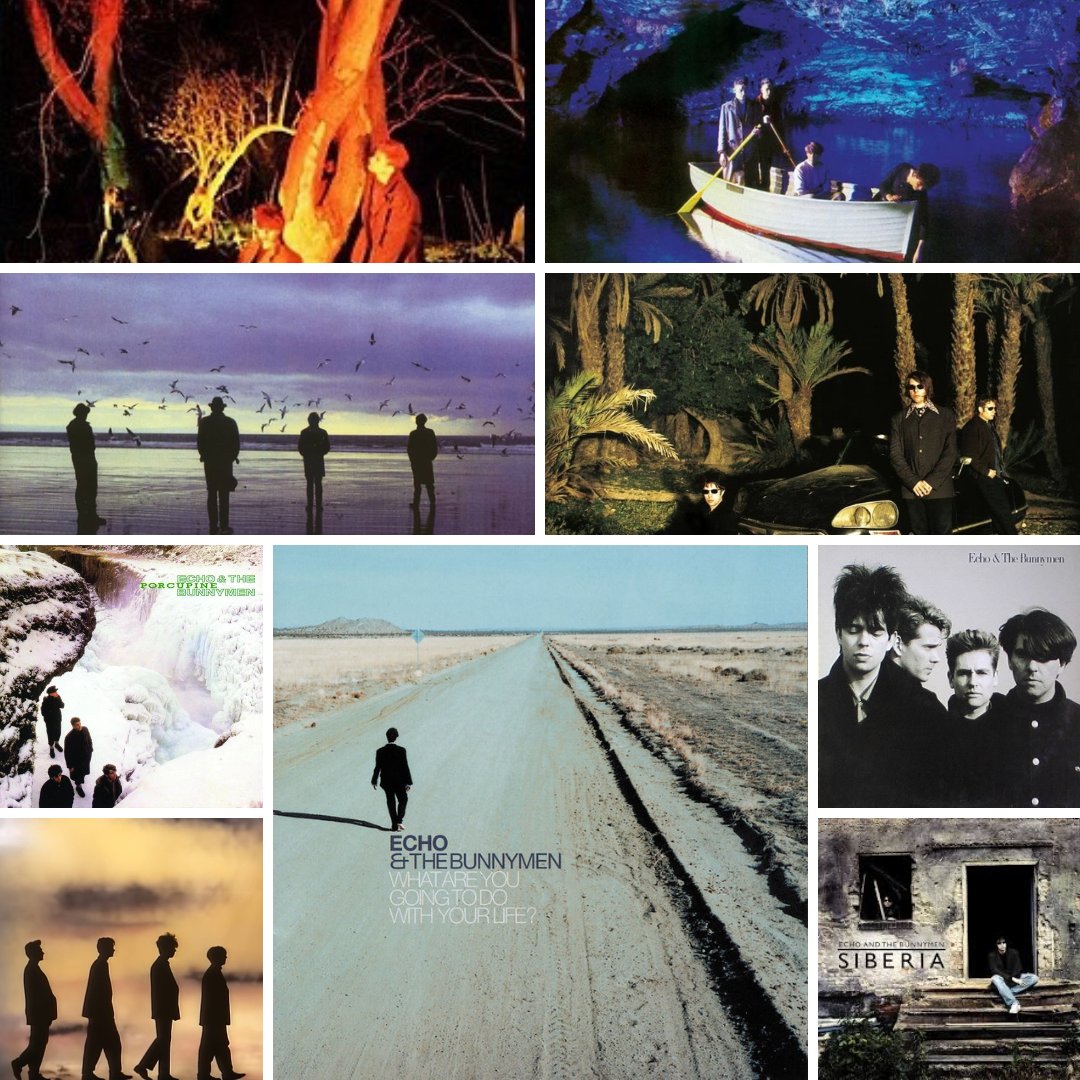 Echo & the Bunnymen tweet media