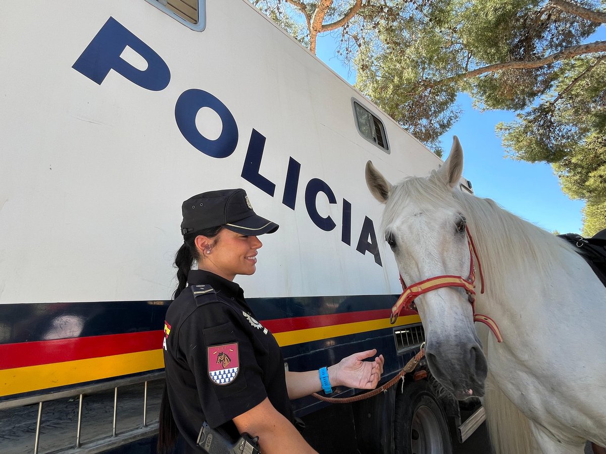policia's tweet photo. 👮‍♂️👮‍♀️Hoy hemos participado en la VII Jornada de Puertas Abiertas de Seguridad y Emergencias del Ayuntamiento de #Rocafort (#Valencia)

👶🐎 Una jornada especial donde los más pequeños han disfrutado, aprendido y conocido de cerca nuestro trabajo

#SomosTuPolicía https://t.co/alMmCyMT64