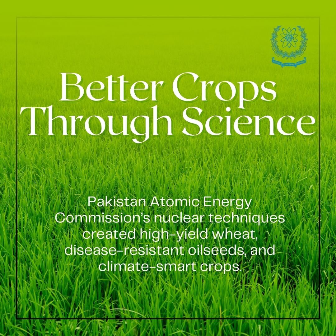 mahamsthought's tweet image. Pride of Pakistan! NIAB Faisalabad (NIAB) has been granted the status of a Collaborating Centre in Agricultural Research by the IAEA, a subsidiary of the United Nations. This achievement is a global recognition of Pakistan’s peaceful, scientific use of nuclear.
#PoweringProgress