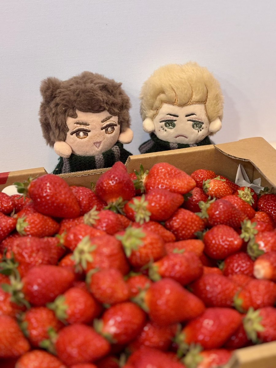 めちゃ🍓もろた