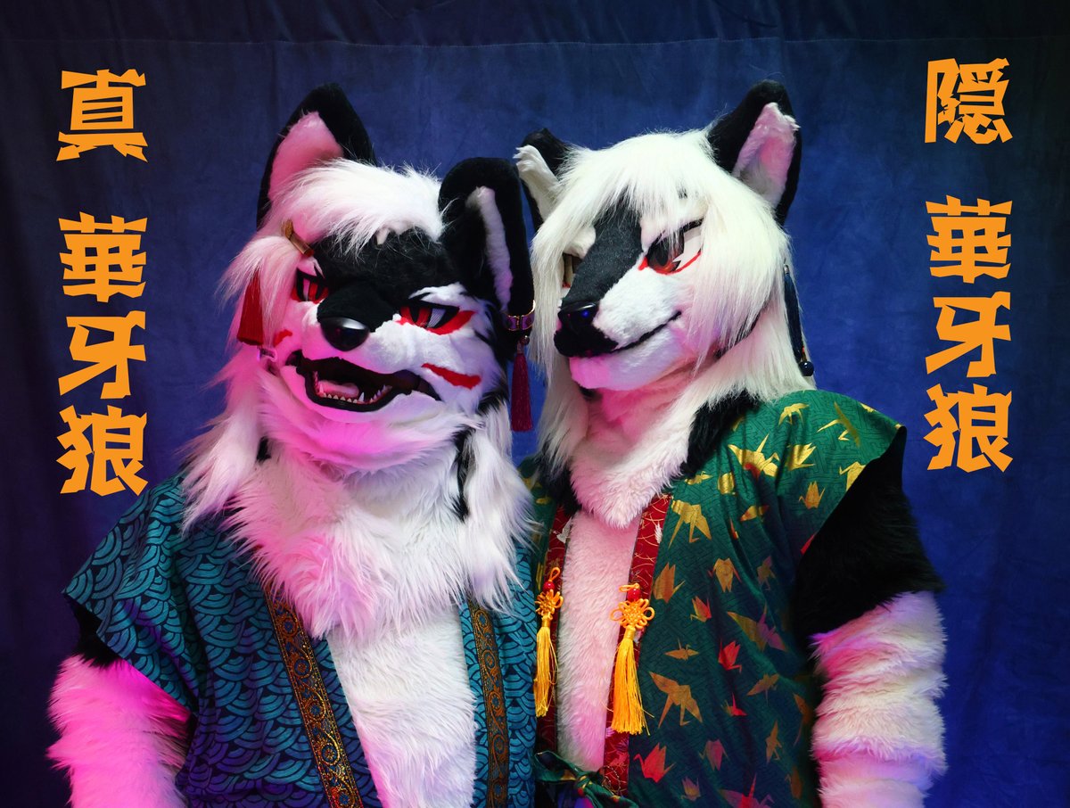 くまおおかみ＝華牙狼 tweet media