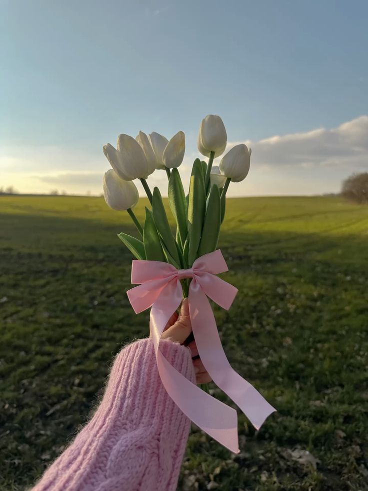 Only Tulips (@tutututututulip) on Twitter photo 