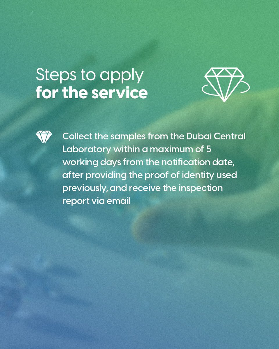 بلدية دبي | Dubai Municipality tweet media