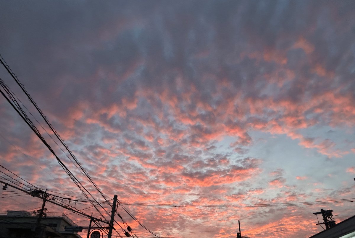 downburst797's tweet photo. バイト終わりの夕焼けがご褒美すぎた！

#イマソラ
#空がある風景 https://t.co/W45lyqceDP