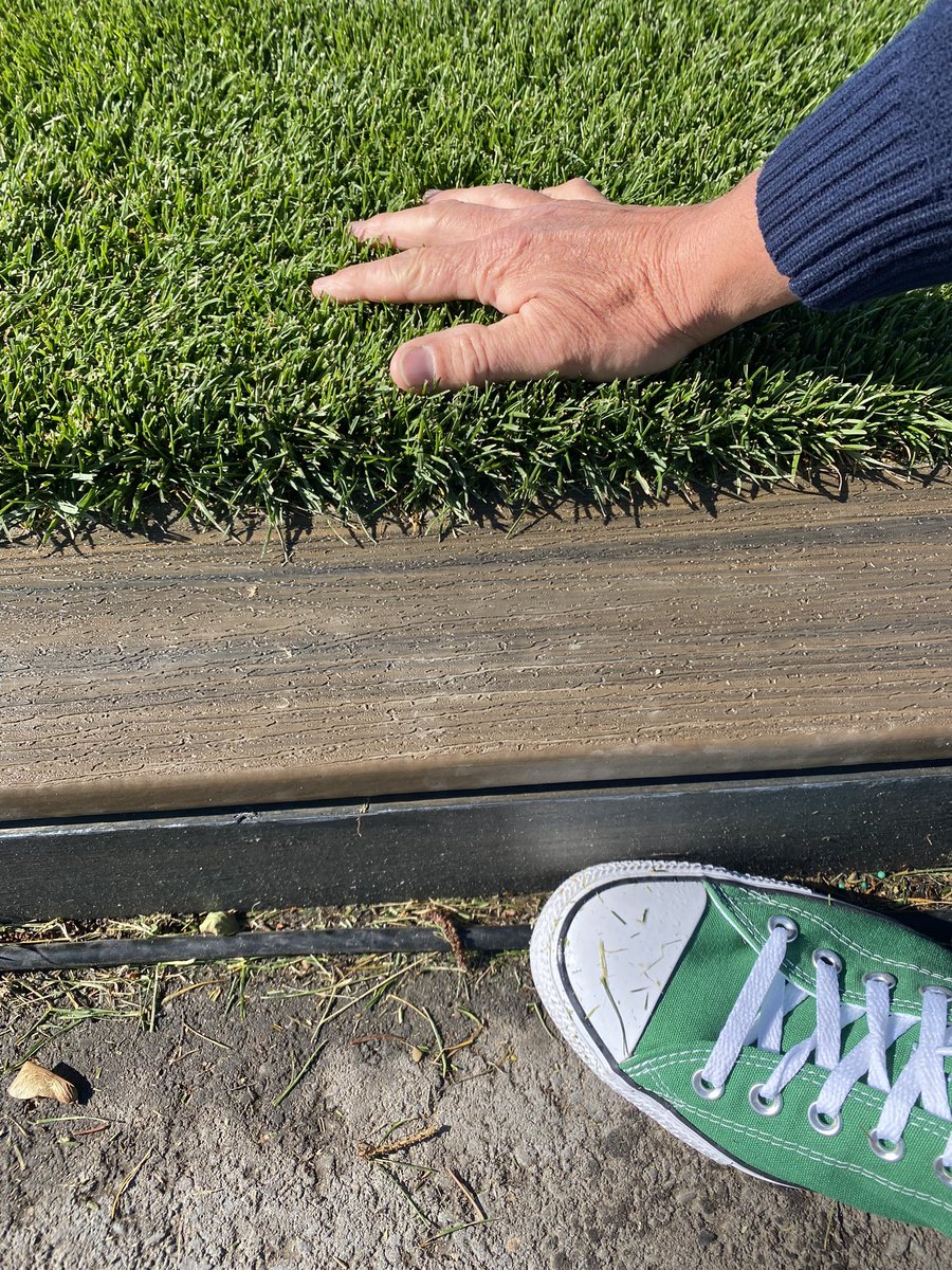 LHCC Grounds (@griffithsjayson) on Twitter photo Turf tourism…sometimes a road trip and a coffee is all you need <a href="/MSUTurf/">Kevin W. Frank</a> <a href="/rbearssturf/">Ryan Bearss</a> peaceful Saturday morning in East Lansing…time to head home ☕️Memorial Day weekend for our 🇺🇸friends 🙏 Turf tourism…sometimes a road trip and a coffee is all you need <a href="/MSUTurf/">Kevin W. Frank</a> <a href="/rbearssturf/">Ryan Bearss</a> peaceful Saturday morning in East Lansing…time to head home ☕️Memorial Day weekend for our 🇺🇸friends 🙏