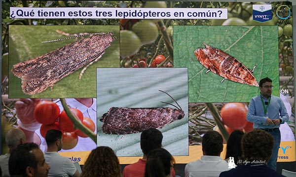 jaarcossanchez's tweet photo. 🆕Bayer reina en la categoría de 'Sanidad Vegetal'

📝https://t.co/OJ4ctlhX0m

📌Presentación de Vynyty Tuta Press: feromonas para ponerle freno a la Tuta absoluta

📌En el expositor de #InfoagroExhibition2025 fitosanitarios de última generación, soluciones biológicas y digitales, #semillas y un nuevo portainjertos frente a nematodos en #tomate

#BayerCropscience #Bayer #InfoagroExhibition #FeriaAgrícola #Expositor #agricultura @BayerEspana
