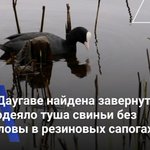 Photo by Евгений Пасканный (@Paskannyy)