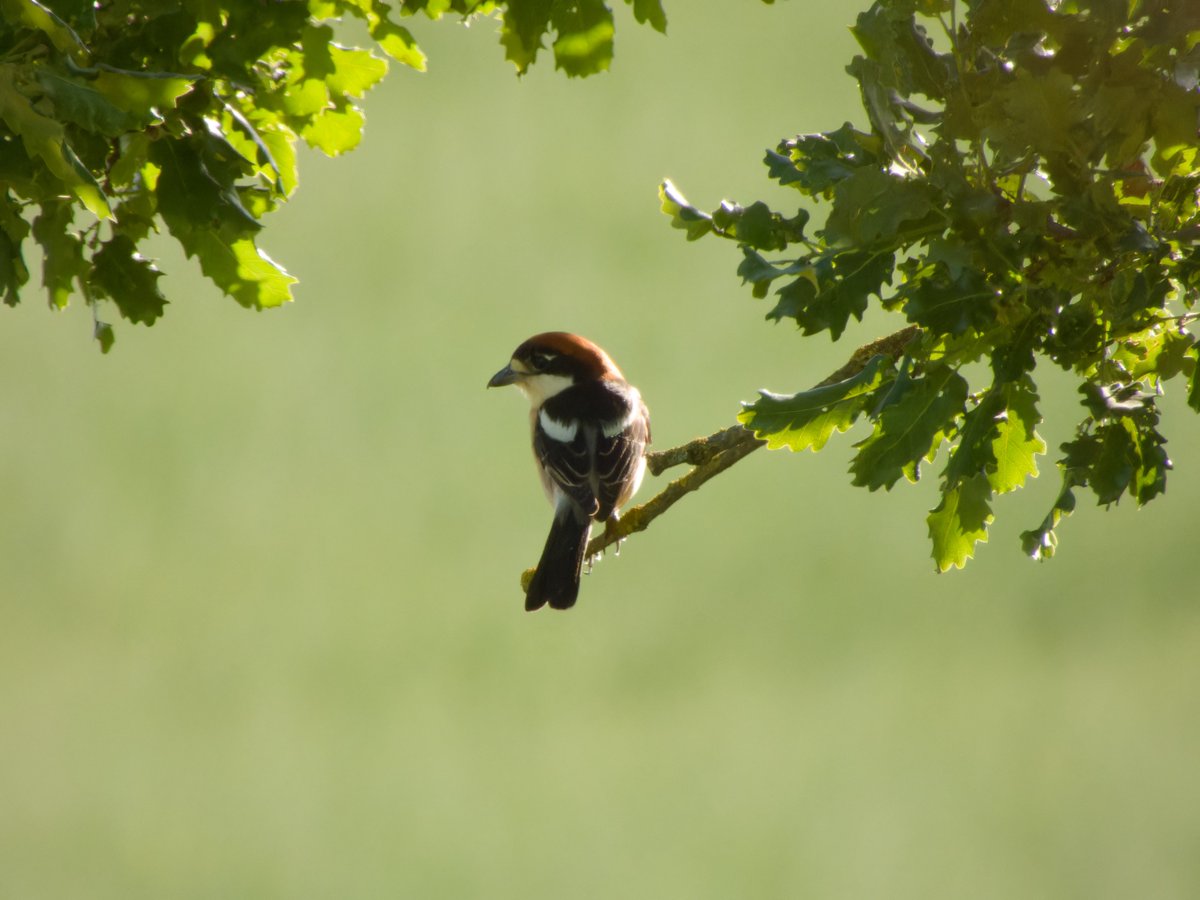 pues fue buena tarde !!🤘🤘