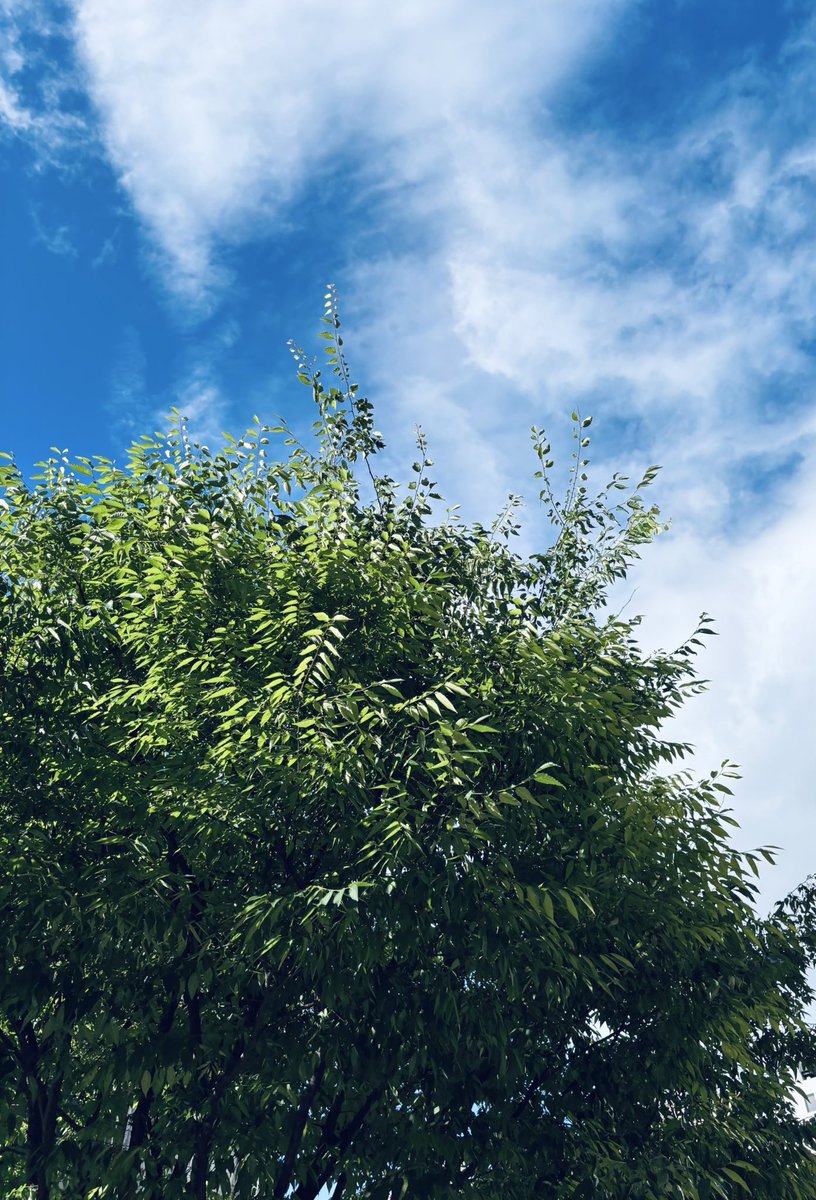 Yu☀️ tweet media