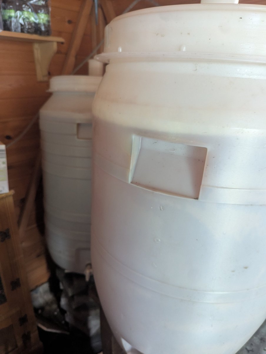 WanderingSadu's tweet photo. Got to empty these into bottles. As usual it's going to be a long day. #cidermaking https://t.co/HVHCpVPQi4