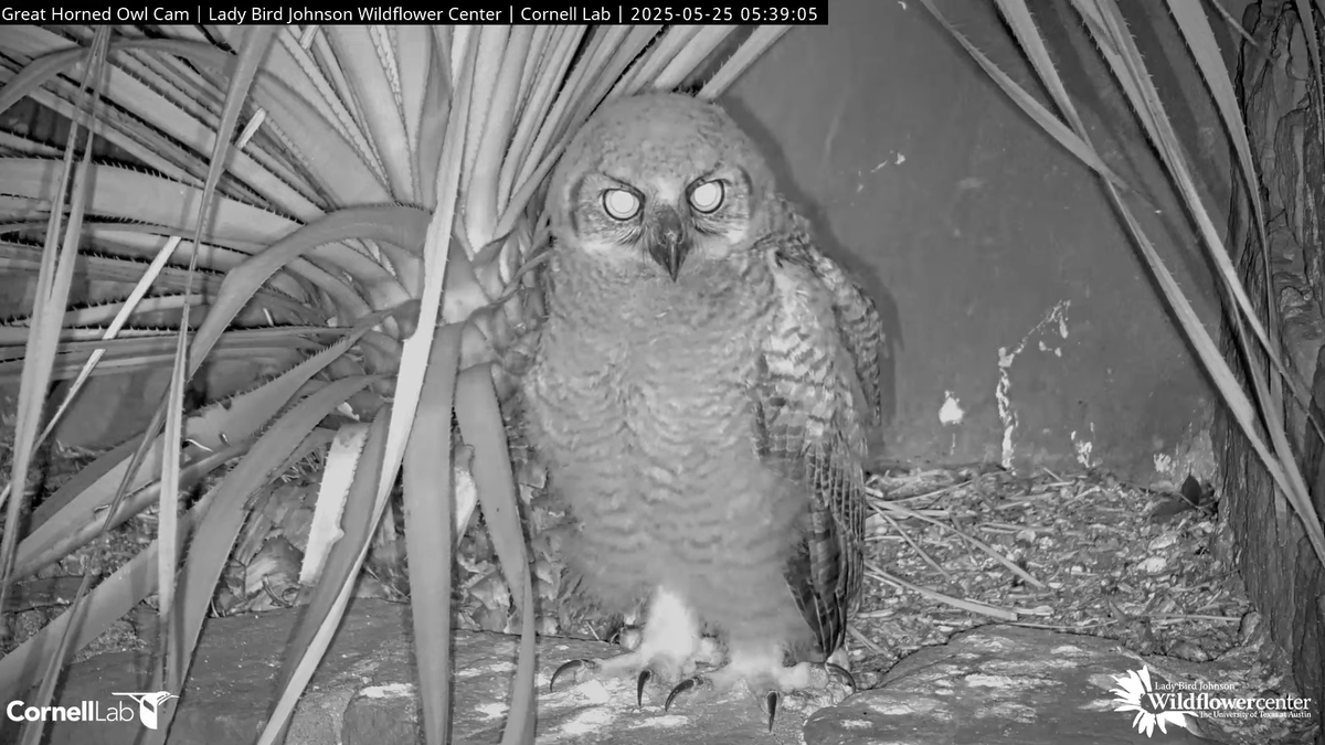 05:25, 5/25 (!)   The world out there is waiting for you!