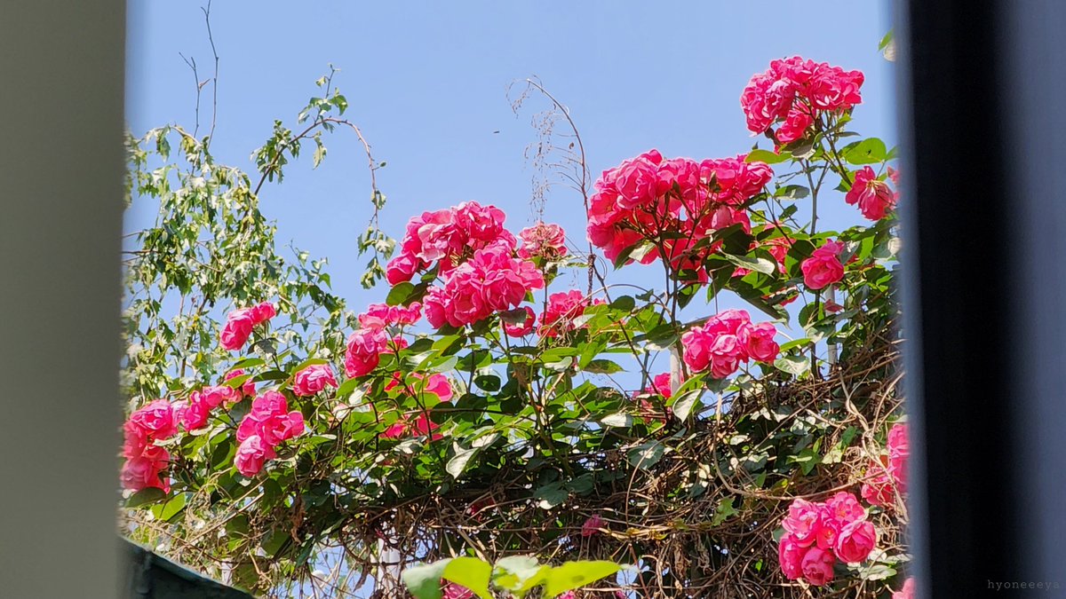 [Cafe&amp;Bar] HIDDEN 히든 ☕

싱그러운 5월의 끝자락 :) 🌳🌷🌿

#상수카페 #카페추천 #노태현