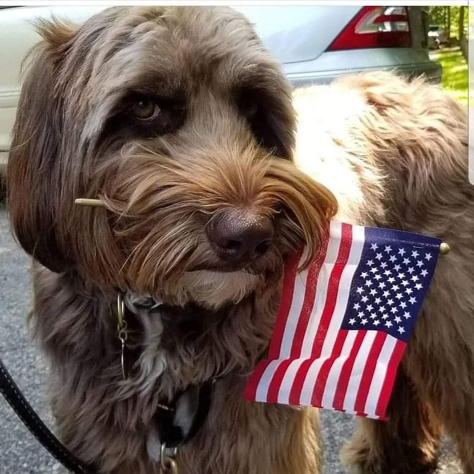 Bocker & Marie tweet media