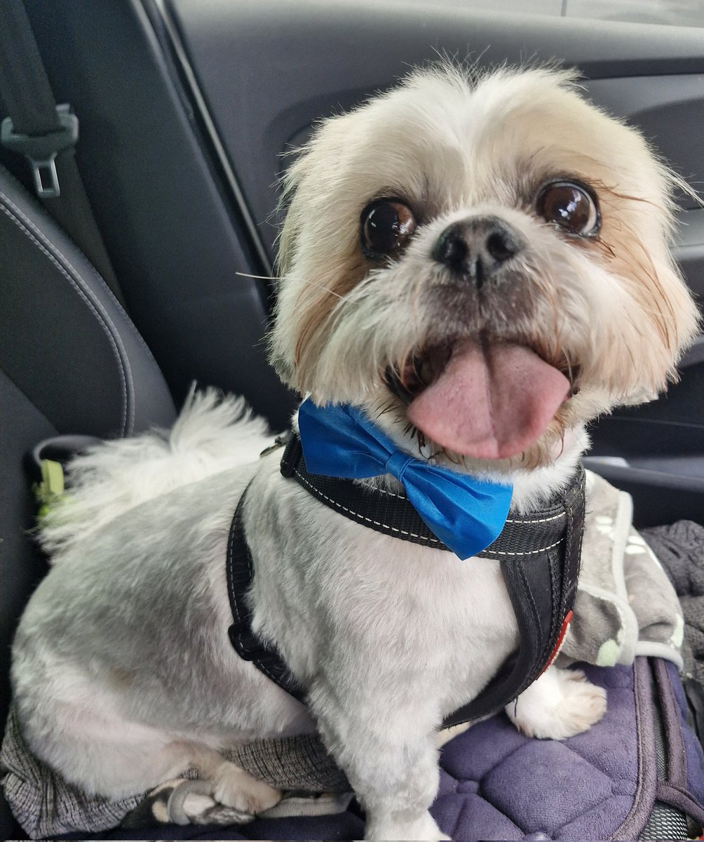 Happy groom Sunday 🥰🥰