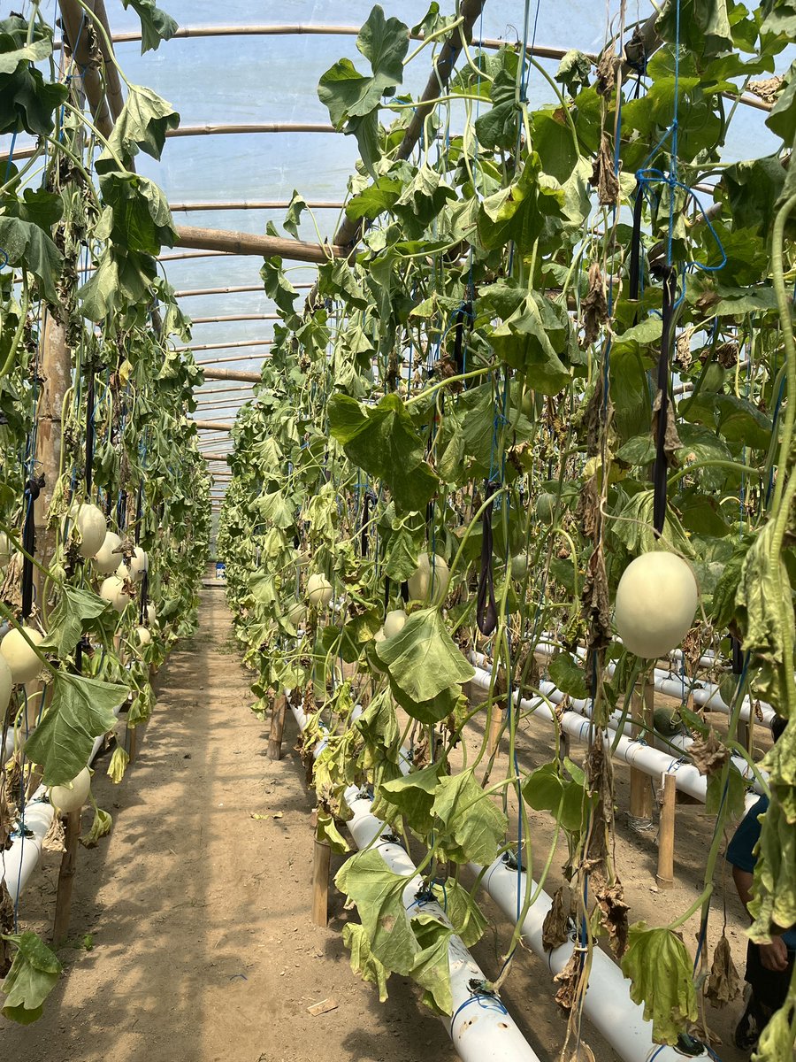 today’s recap 🍈🤍