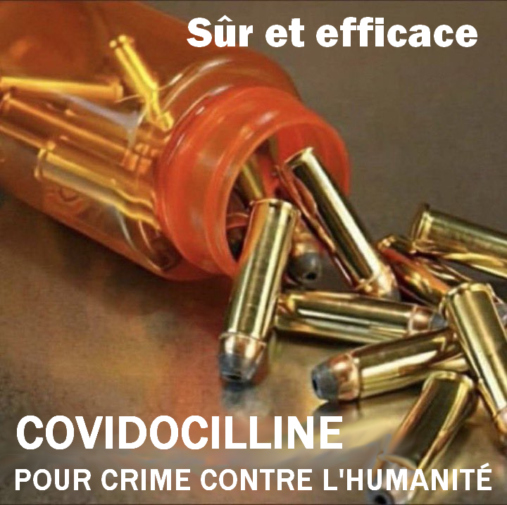 Catherine Debusne🐞Vérité Paix Justice Liberté tweet media