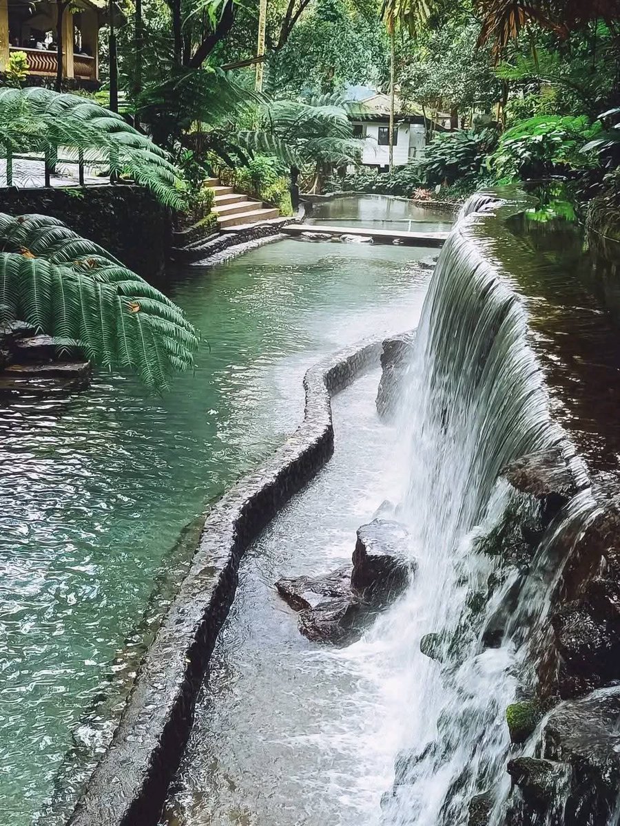 sundered_pph's tweet image. Happy weekend everyone

Touch water !