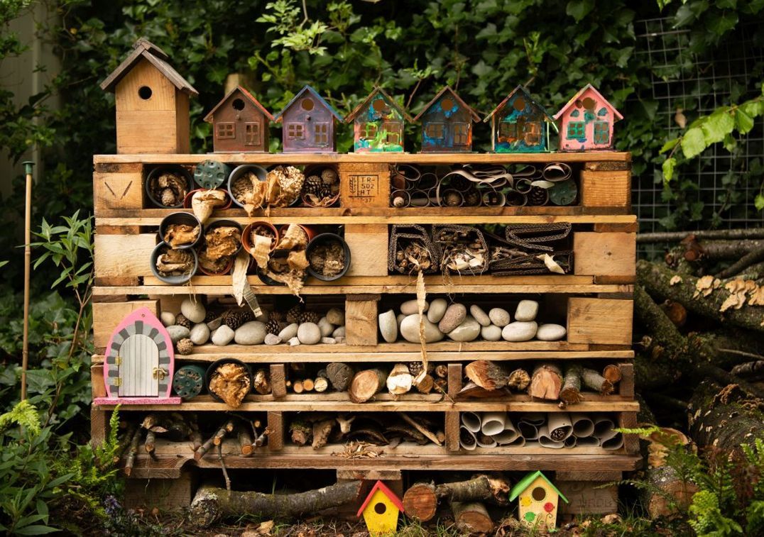 hedgehogsociety's tweet photo. Children's Gardening Week is the perfect time to get the kids having fun outside - if you've got a garden or yard, why not...:

- set up a mini #wildlife pond 🐸 
- make a bug hotel 🐞🐛
- create a log heap in a quiet corner 🪵 
- watch The Littlest Hoglet
https://t.co/SMgnz4MY2h https://t.co/2wtXpD2rIQ