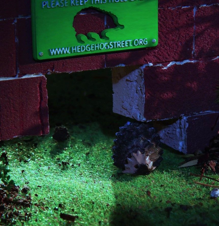 Children's Gardening Week is the perfect time to get the kids having fun outside - if you've got a garden or yard, why not...:

- set up a mini #wildlife pond 🐸 
- make a bug hotel 🐞🐛
- create a log heap in a quiet corner 🪵 
- watch The Littlest Hoglet
buff.ly/9kdS2zk