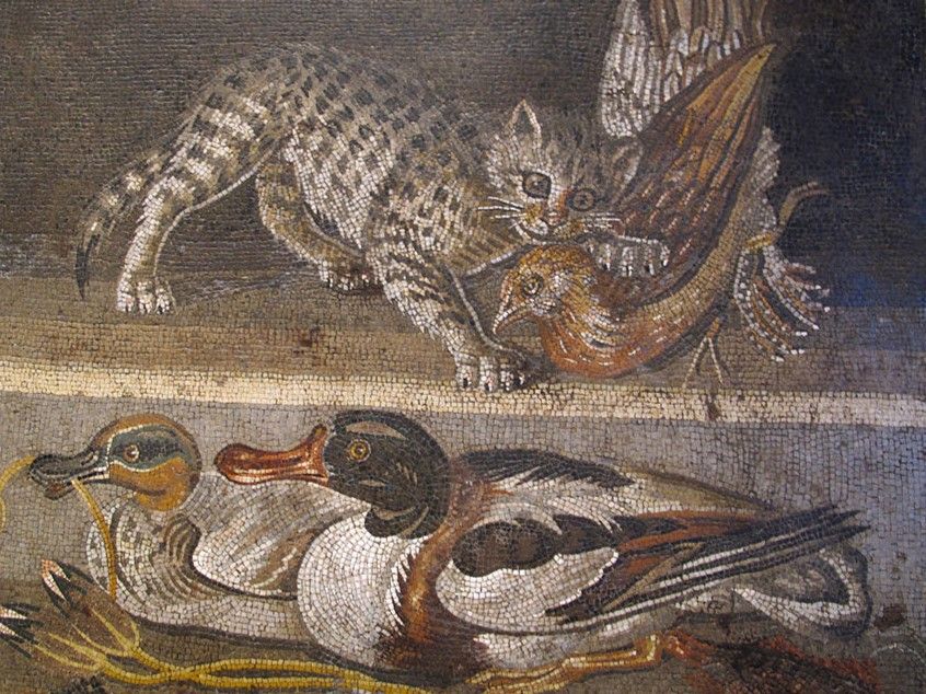 TheHistoryPress's tweet photo. Did you know in 59 BC, a Roman soldier in Egypt accidentally killed a cat, an animal sacred to Egyptians. Despite King Ptolemy begging for mercy and fear of Roman power, a mob kills the soldier on the spot.🐈 Learn more: https://t.co/EhDnuScfkX #cats #hitory #AncientEgypt #Rome https://t.co/6j3ZlSEz7m