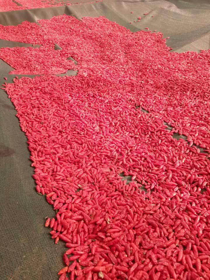 In a gesture that blends culinary diplomacy with real agricultural impact, H.E. Murad Baseer, <a href="/muradbaseer/">Ambassador Murad Baseer</a> Ambassador of Pakistan 🇵🇰to Zimbabwe 🇿🇼 and podium finisher in the 2025 <a href="/TeamFuloZim/">TeamFuloZim/Global</a> #AmbassadorsCookOff, has received a transformative prize from co-sponsors <a href="/dendereagro/">Dendere Agro PVT LTD</a>