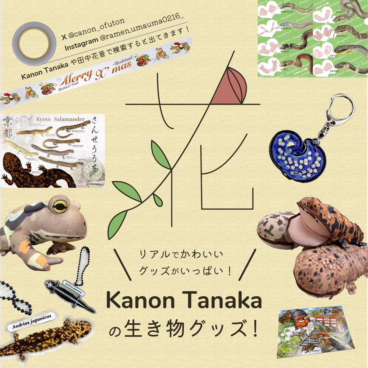 Kanon Tanaka_田中花音 tweet media