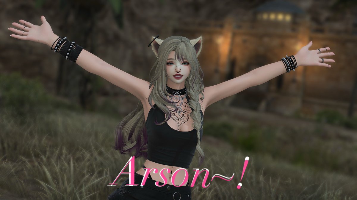 Meme I made ft <a href="/CrystalA_ffxiv/">Crystal Aitheria</a>