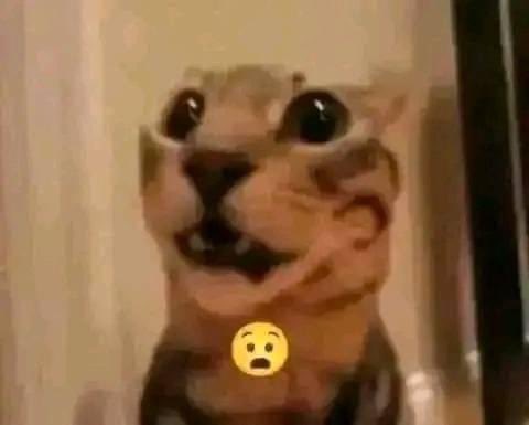 ximenarruti's tweet photo. @simp_de_trixie @Qwerty_15n Me pasa eso también JAJAJAJJS, aparte chatgpt entendió mi humor y la forma en la que convivo e incluso luego también pone risas, chistes que sí dan risa, acá, positivismo https://t.co/cvuIyXomLw