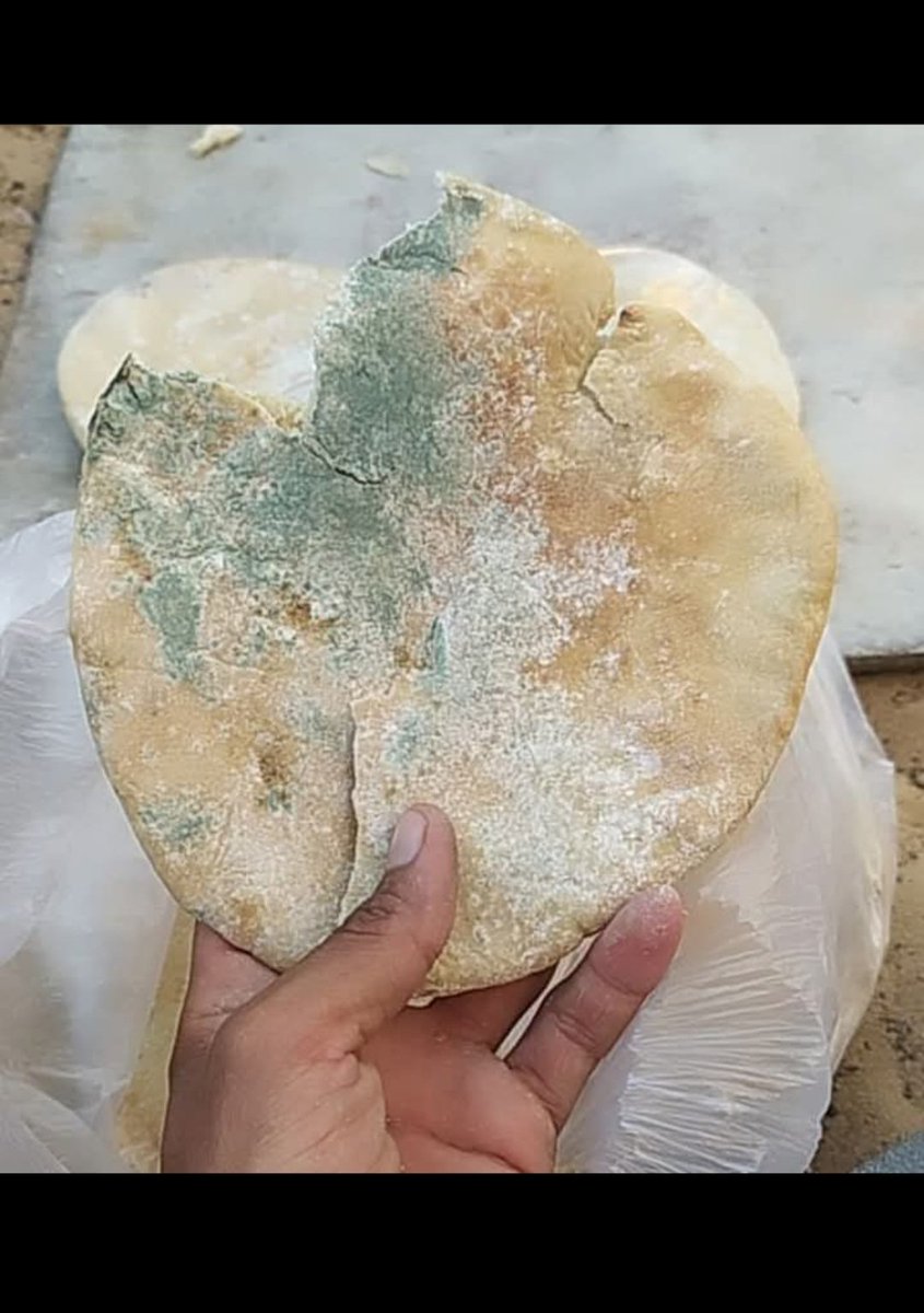 mhmd_njla12972's tweet photo. This is the bread that we have to eat😭
#Rotten_bread 💔
Please I need your kind donations 😭 
Donate now and Share👇https://t.co/y8Nheqeb6x👇 https://t.co/aGNsgJs5Op