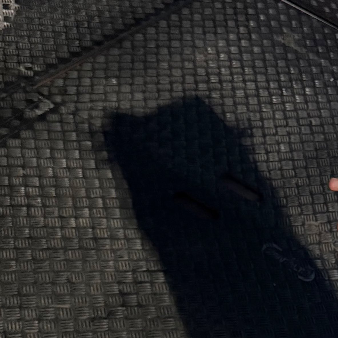 러블리막 고양이그림자 차이 넘 커염 ㅋㅋ
그림자만 보면 
왼쪽이 형고양이 오른쪽이 동생고양이 같은데
실은 반대라네요...😻😻