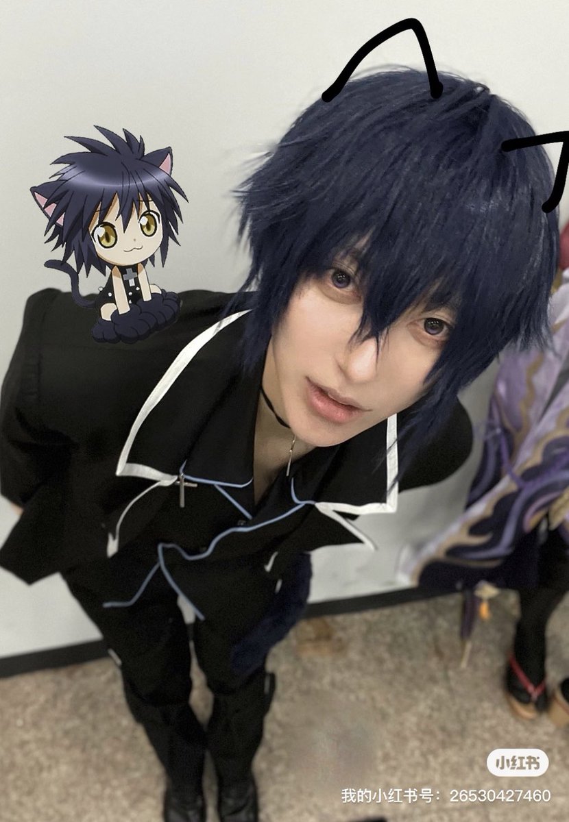 木天蓼 (@10li40) on Twitter photo 